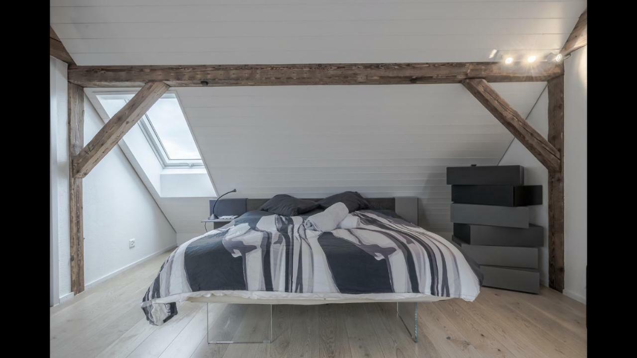 Luxury Penthouse Apartment Цюрих Экстерьер фото